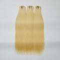 12A Premium Raw Indian Hair #613 Lightest Blonde Straight 12-30''