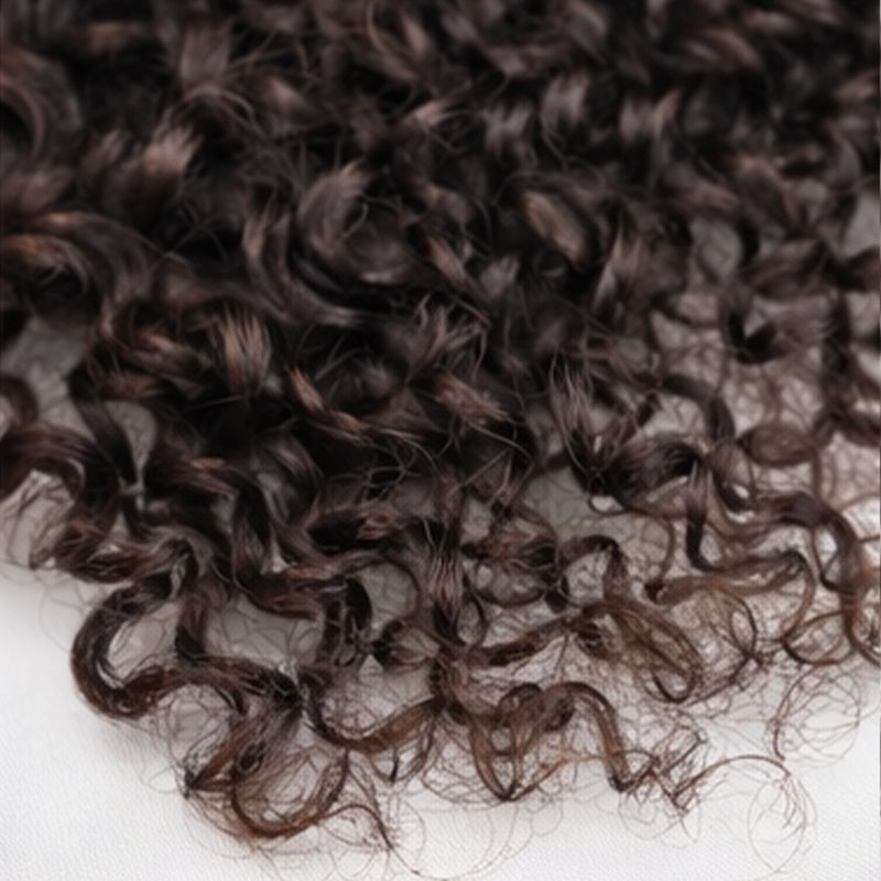 TedHair Miracle Knots Human Feather Crochet Hair Burmese Curly with No Spiral Ends - Pre-Separated Knotless Crochet Braids for Seamless Blending