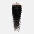 5x5 HD Lace Free Parted Closure Deep Wave